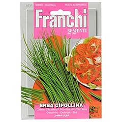 Erba cipollina usato  Spedito ovunque in Italia 
