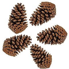 Pinecones tall bulk for sale  Delivered anywhere in USA 
