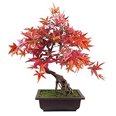 Leaf artificiale bonsai usato  Spedito ovunque in Italia 