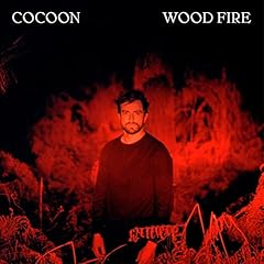 Wood fire gebraucht kaufen  Wird an jeden Ort in Deutschland
