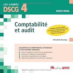 Dscg comptabilité audit d'occasion  Livré partout en France