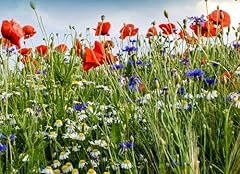 Bunte wiese gramm gebraucht kaufen  Wird an jeden Ort in Deutschland