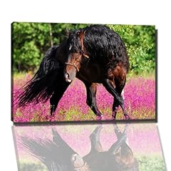 Pferd bild leinwand gebraucht kaufen  Wird an jeden Ort in Deutschland