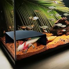 Aquarium corner cave for sale  Delivered anywhere in USA 