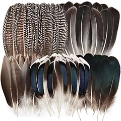 Feelfunfeather pheasant feathe for sale  Delivered anywhere in USA 