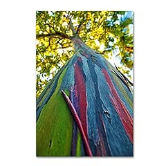 Trademark fine art for sale  Delivered anywhere in USA 