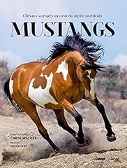 Mustangs chevaux sauvages d'occasion  Livré partout en France