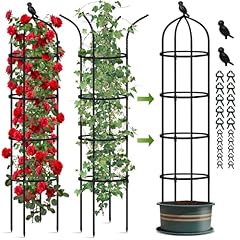 Garden obelisk trellis for sale  Delivered anywhere in USA 