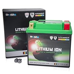 Batterie skyrich lithium d'occasion  Livré partout en France