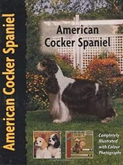 American cocker spaniel for sale  Delivered anywhere in UK