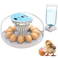M12 couveuse oeuf d'occasion  Livré partout en France