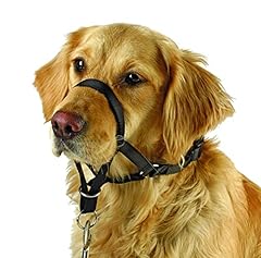 Kerbl pet trainings gebraucht kaufen  Wird an jeden Ort in Deutschland