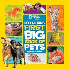 First big book for sale  Delivered anywhere in UK