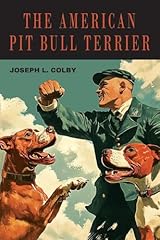 American pit bull for sale  Delivered anywhere in USA 