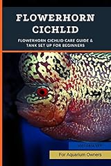 Flowerhorn cichlid flowerhorn for sale  Delivered anywhere in USA 
