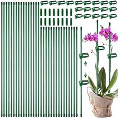 Fabulas pack plant for sale  Delivered anywhere in USA 