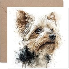 Yorkshire terrier birthday for sale  Delivered anywhere in UK