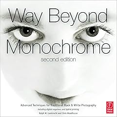 Way beyond monochrome usato  Spedito ovunque in Italia 