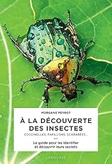 Découverte insectes d'occasion  Livré partout en France