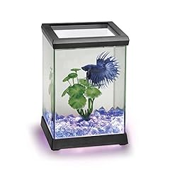 Ocean free at619averre d'occasion  Livré partout en France