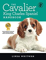 Cavalier king charles for sale  Delivered anywhere in UK