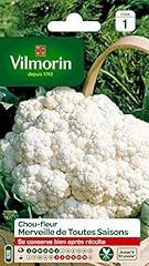 Vilmorin 3353141 chou d'occasion  Livré partout en France