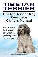 Tibetan terrier dog. for sale  Delivered anywhere in UK