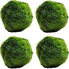 K2aqua large marimo for sale  Delivered anywhere in UK