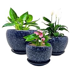 Ceramic plant pot for sale  Delivered anywhere in USA 