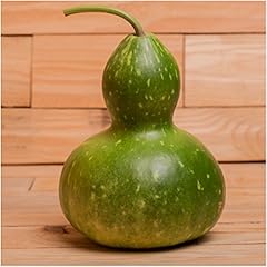 Seed needs 100 for sale  Delivered anywhere in USA 