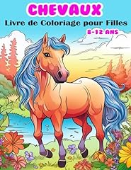 Chevaux livre coloriage d'occasion  Livré partout en France