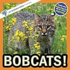 Bobcats incredible picture for sale  Delivered anywhere in UK