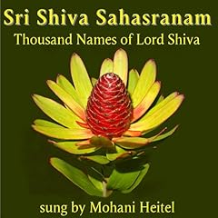 Sri shiva sahasranam gebraucht kaufen  Wird an jeden Ort in Deutschland