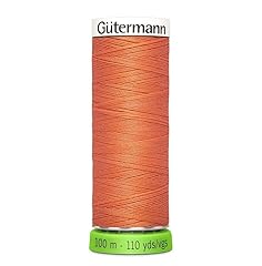 Gutermann 723860 895 usato  Spedito ovunque in Italia 