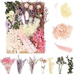 Sularpek trockenblumen trocken gebraucht kaufen  Wird an jeden Ort in Deutschland