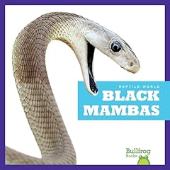 Black mambas d'occasion  Livré partout en France
