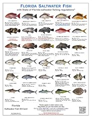 Tackle box .d. for sale  Delivered anywhere in USA 