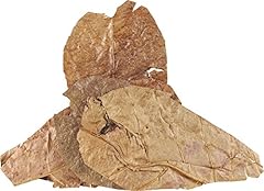 Fluker catappa leaves for sale  Delivered anywhere in USA 