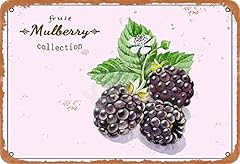 Fruit mulberry collection for sale  Delivered anywhere in USA 