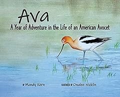 Ava year adventure for sale  Delivered anywhere in USA 