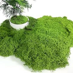 150g moos zum gebraucht kaufen  Wird an jeden Ort in Deutschland