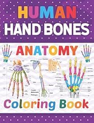 Human hand bones for sale  Delivered anywhere in UK