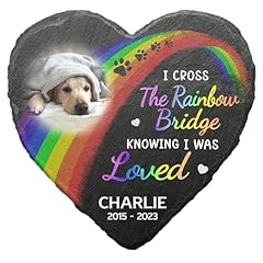 Pawfect house rainbow for sale  Delivered anywhere in USA 