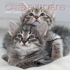 Tgsc cats kittens for sale  Delivered anywhere in UK