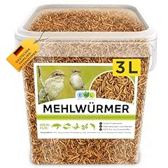 Mehlwürmer getrocknet premium gebraucht kaufen  Wird an jeden Ort in Deutschland