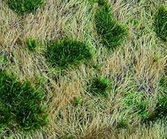 180474 faller landschafts gebraucht kaufen  Wird an jeden Ort in Deutschland