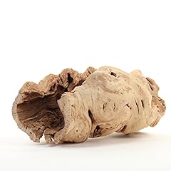Koyal wholesale hollow for sale  Delivered anywhere in USA 