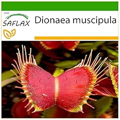 Saflax venus fliegenfalle gebraucht kaufen  Wird an jeden Ort in Deutschland