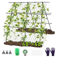 Packs cucumber trellis for sale  Delivered anywhere in USA 