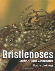 Bristlenoses catfish character for sale  Delivered anywhere in UK